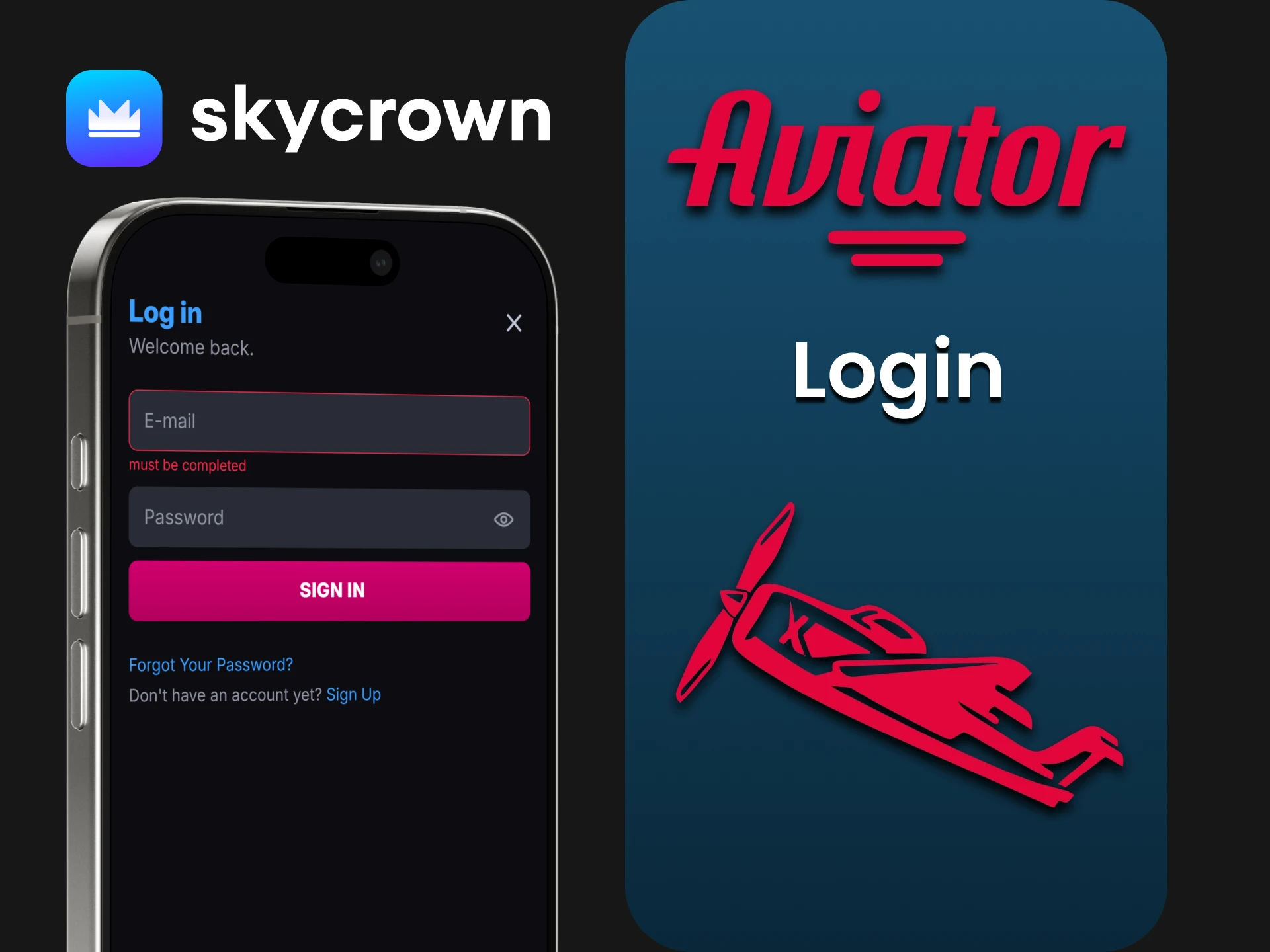 Enter your email address and password to log in to your Skycrown account.